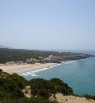 Playa del Cañuelo en Tarifa